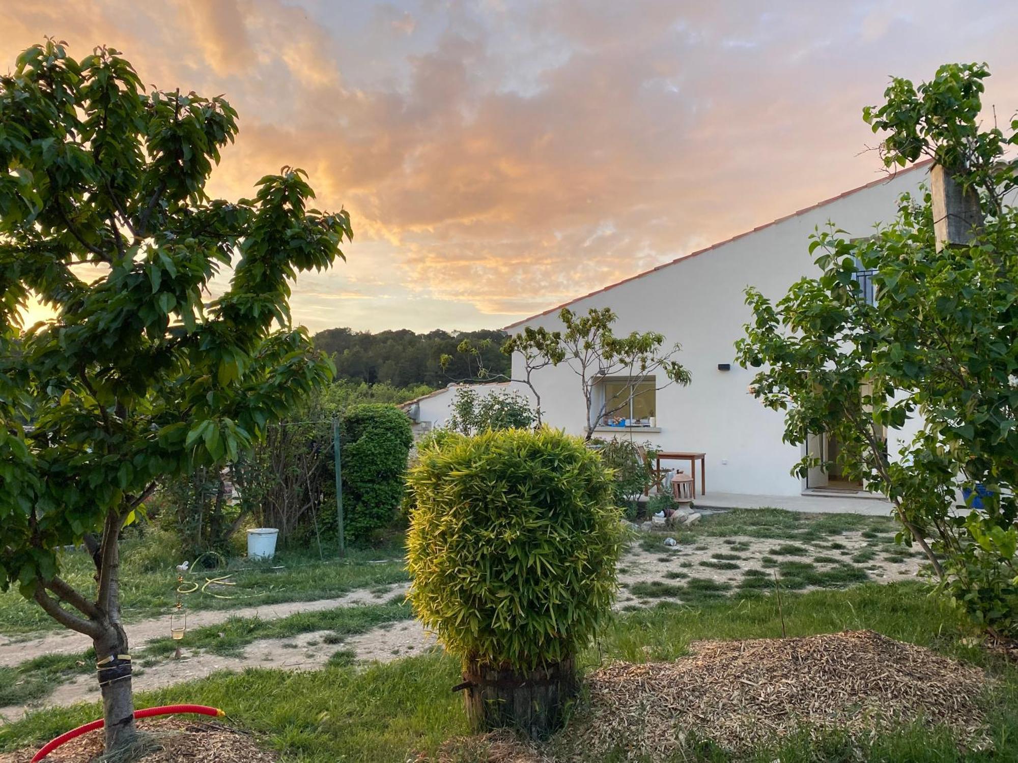 Sous Le Tilleul Saint-Maurice-de-Cazevieille ภายนอก รูปภาพ