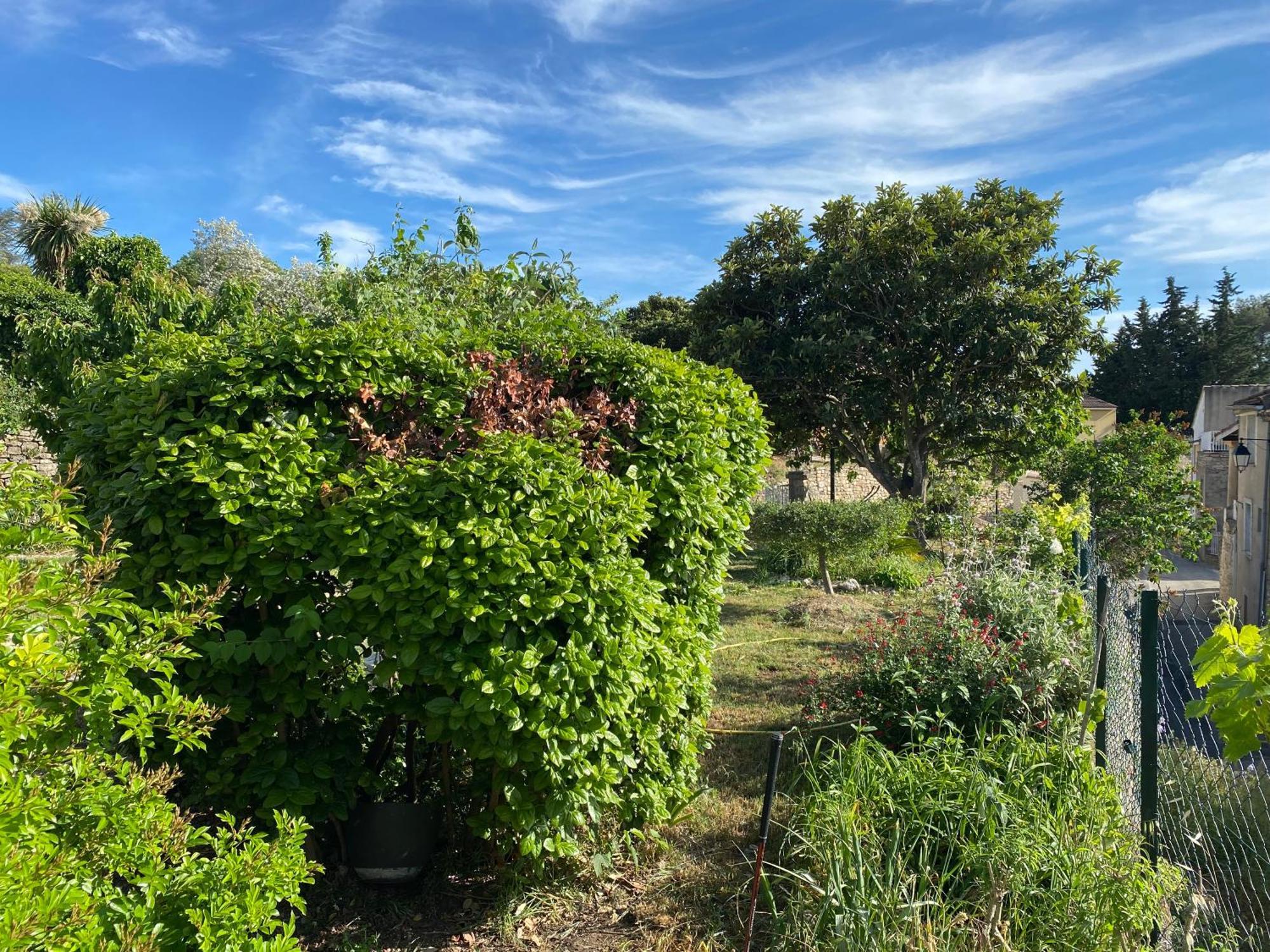 Sous Le Tilleul Saint-Maurice-de-Cazevieille ภายนอก รูปภาพ